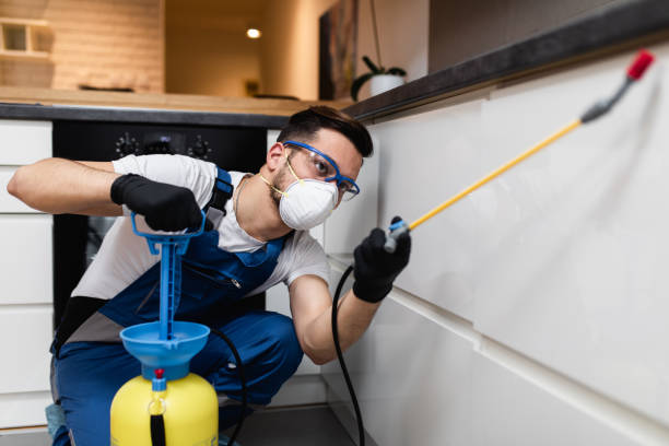Best Wasp Removal Services  in Coolidge, AZ
