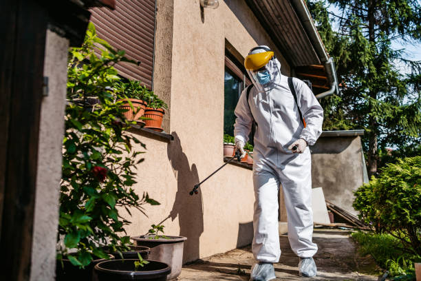 Best Rat Extermination Near Me  in Coolidge, AZ