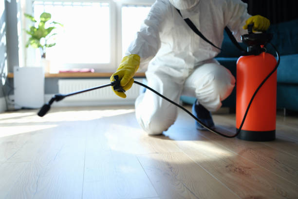 Reliable Coolidge, AZ Pest Control Solutions
