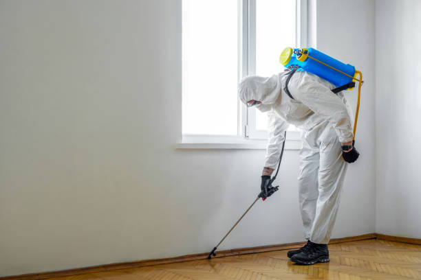 Best Pest Control Near Me  in Coolidge, AZ