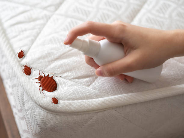 Pest Control for Restaurants in Coolidge, AZ