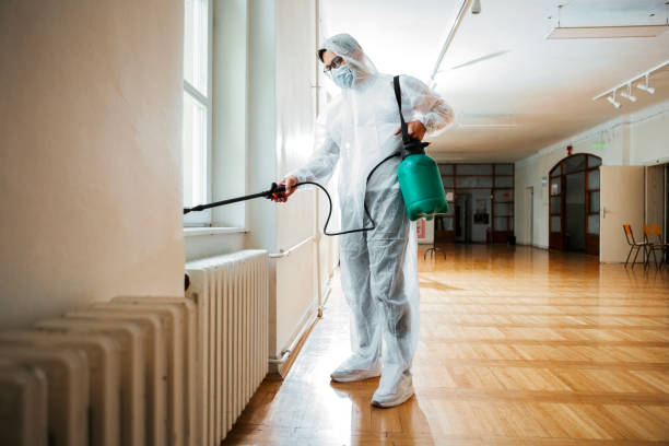 Best Termite Control Services  in Coolidge, AZ