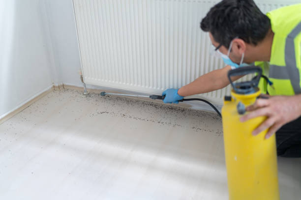 Best Pest Control for Restaurants  in Coolidge, AZ