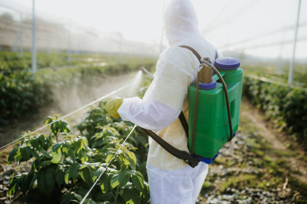  Coolidge, AZ Pest Control Pros